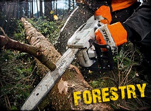 Forestry supplies valemount